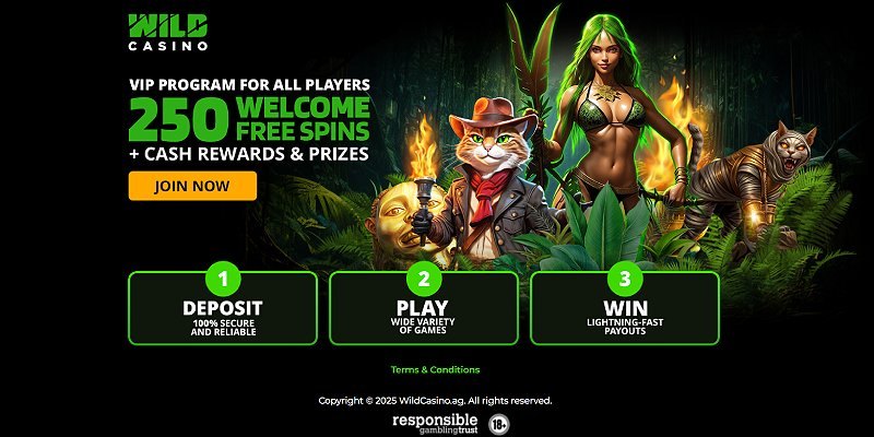 Wild Casino welcome bonus